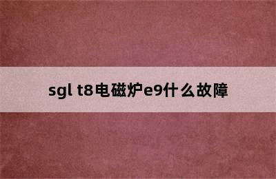 sgl t8电磁炉e9什么故障